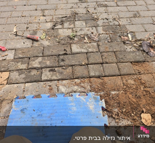 כלי עבודה על אבנים משתלבות עם עלים ואדמה